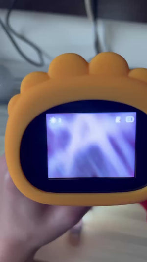 Vidéo WILIDI sans piste audio