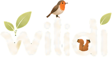 WILIDI